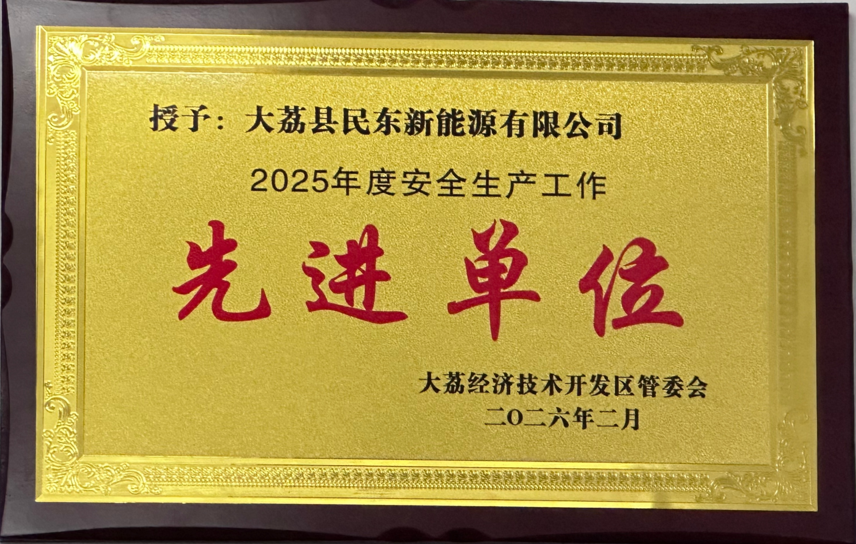 2025年度安全生产先进单位