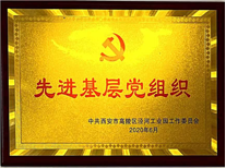 2019年度先进基层党组织